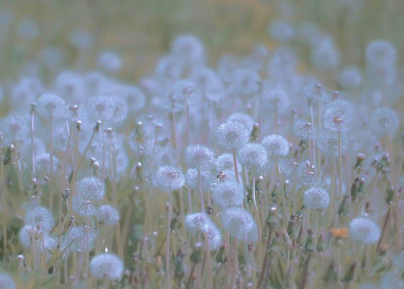 Прощание 2photo preview