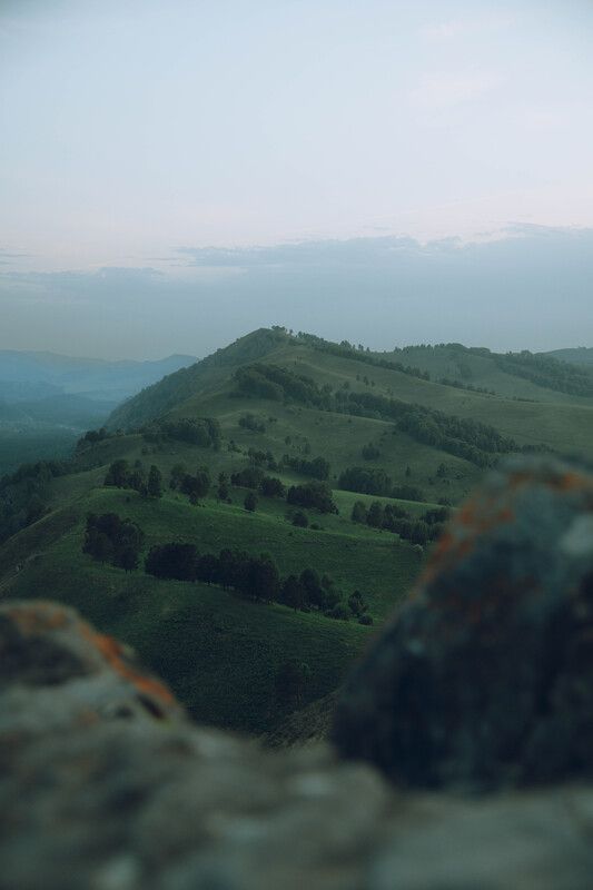 горы, Алтай, холмы, лес Горный Алтайphoto preview