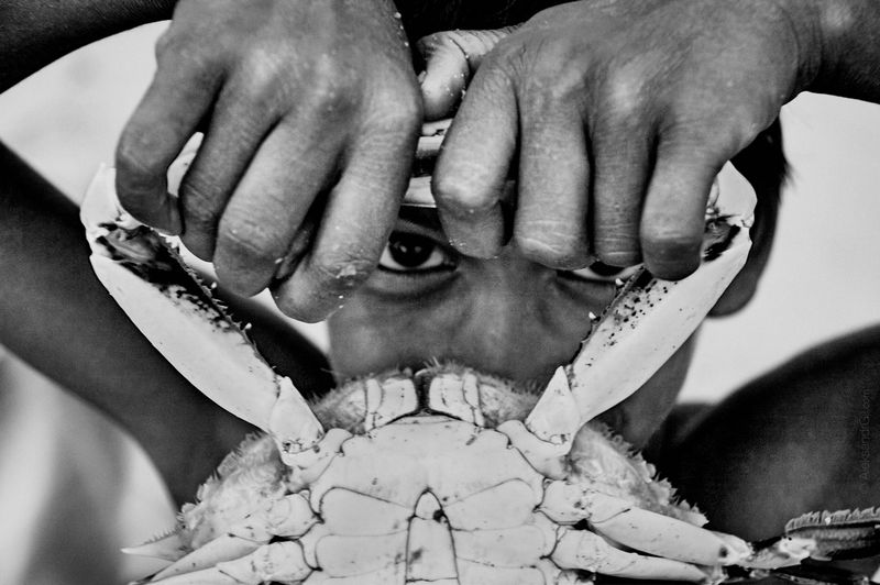 Индийское детство. Игрушки. фото превью