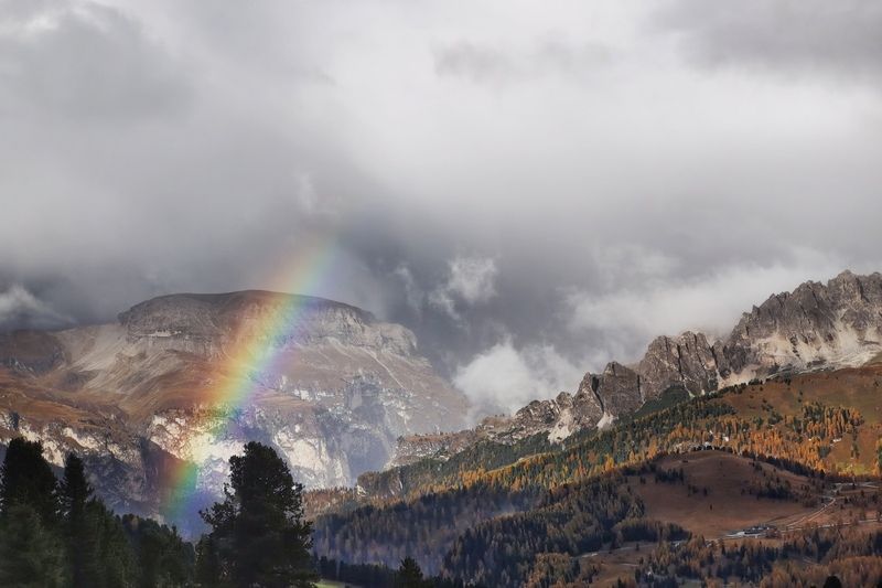 После Дождяphoto preview