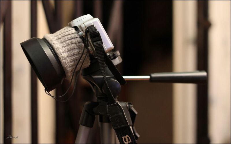 sony, камера, dsc-h10 Старый друг фото превью