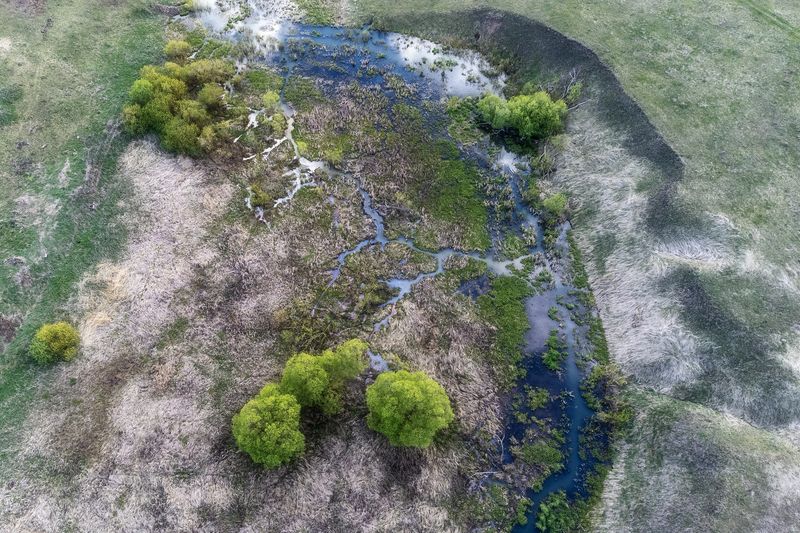 Веснаphoto preview