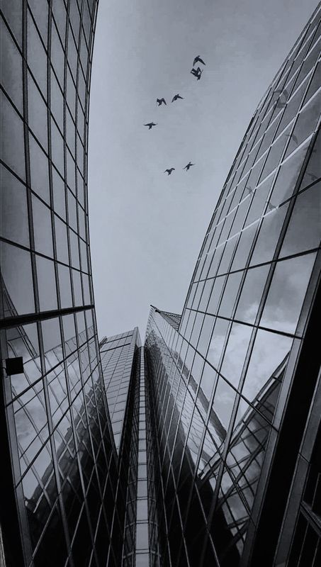 city ​​wellphoto preview