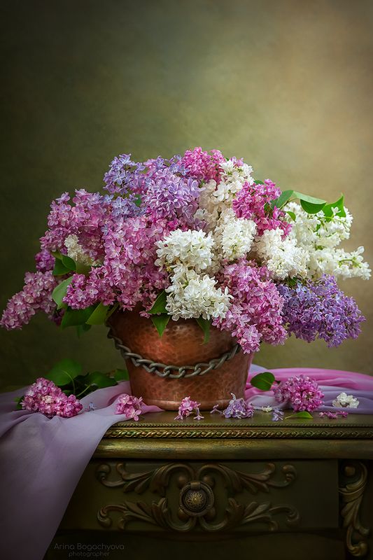 Сирени аромат...photo preview