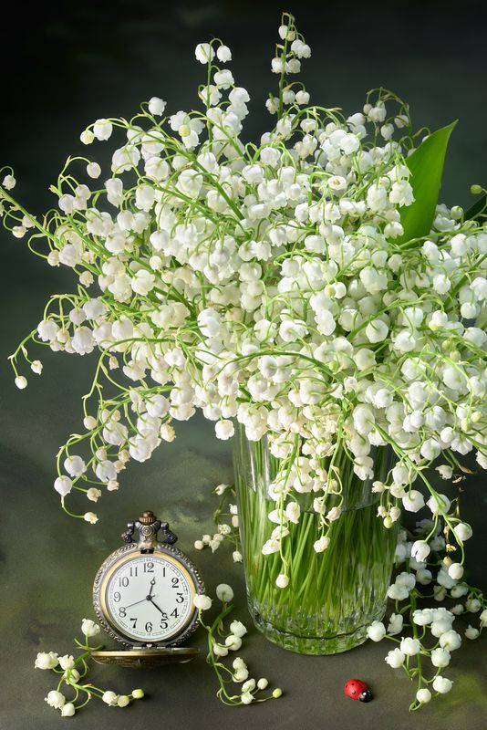 Время цветения...photo preview