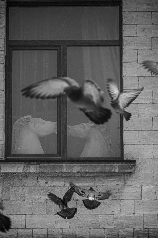 Любовь и голубиphoto preview