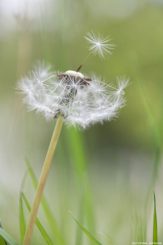 Следующий. на старт!photo preview