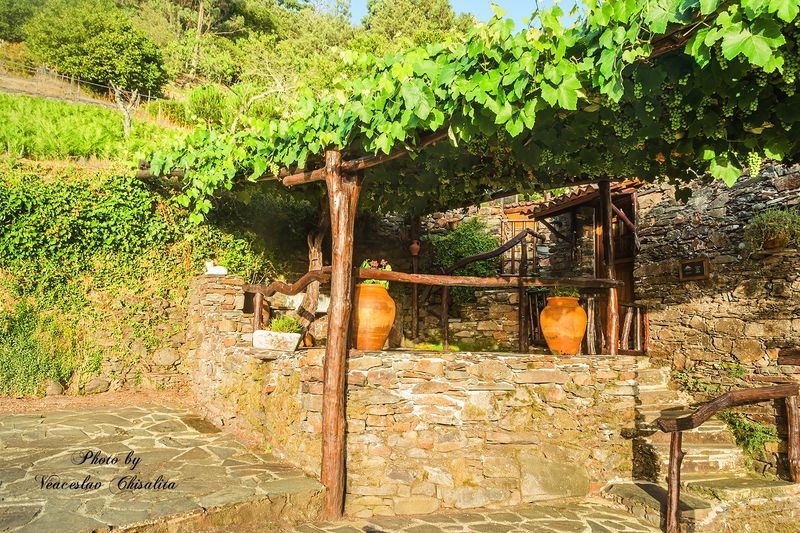 В деревнеphoto preview