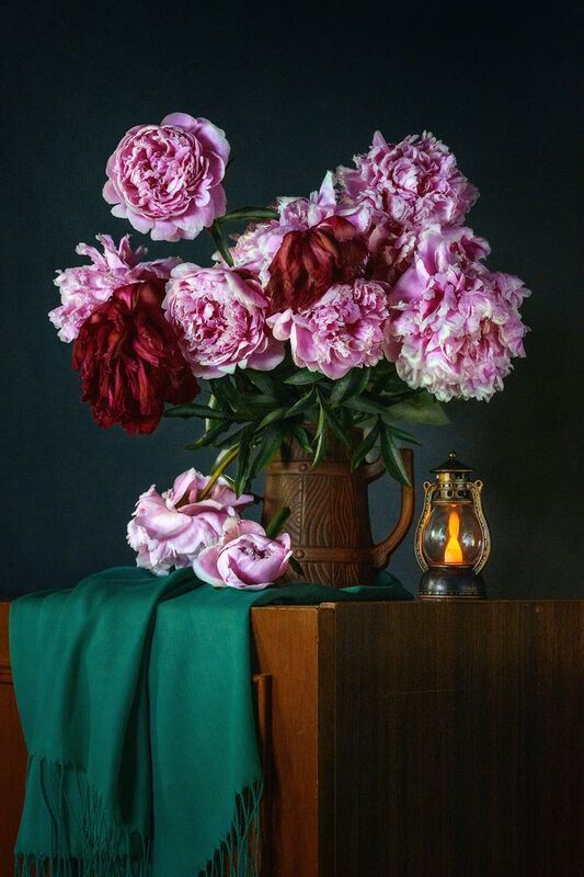 пионыphoto preview