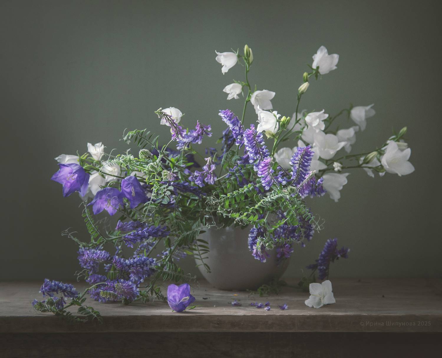 , Шипунова Ирина