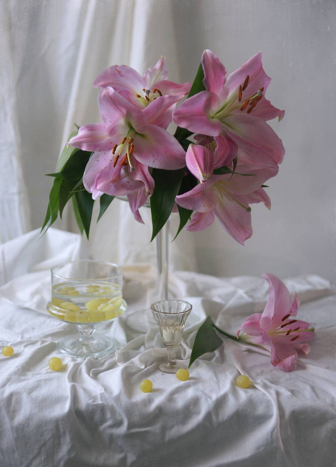 , Сушкевич Светлана