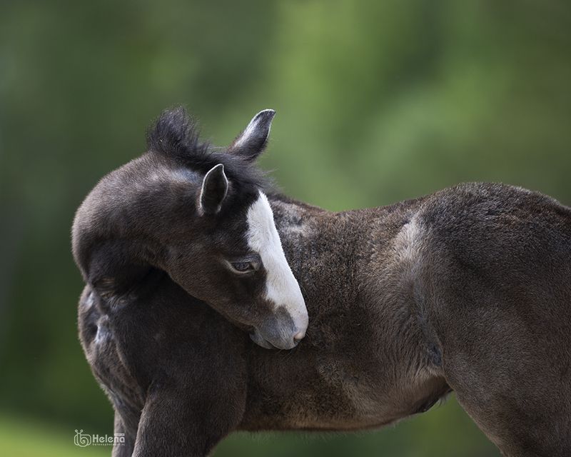 Первый день летаphoto preview