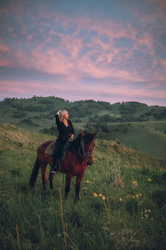 Алтай, горы, холмы, лошадь, портрет Горный Алтайphoto preview