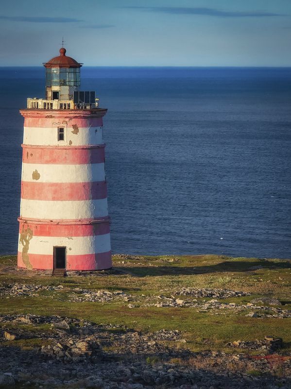 Арктическое лето фото превью