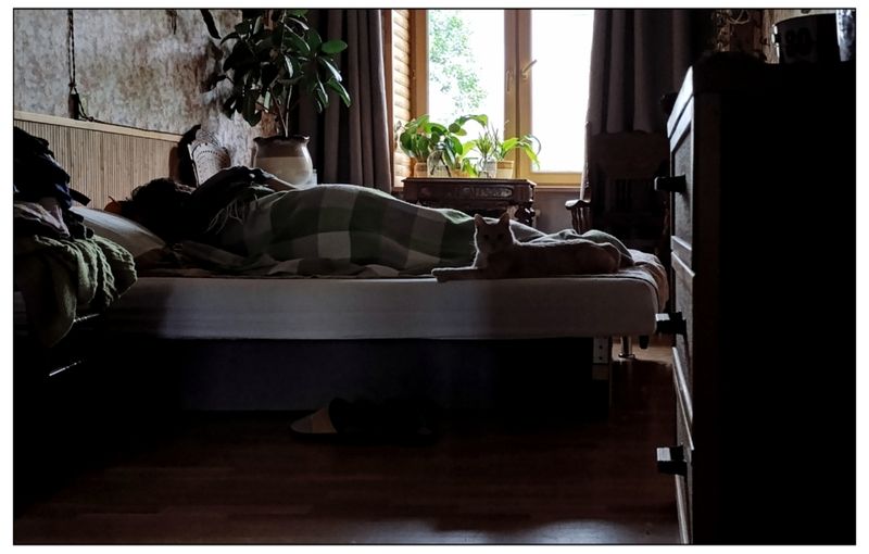 Дневной сонphoto preview