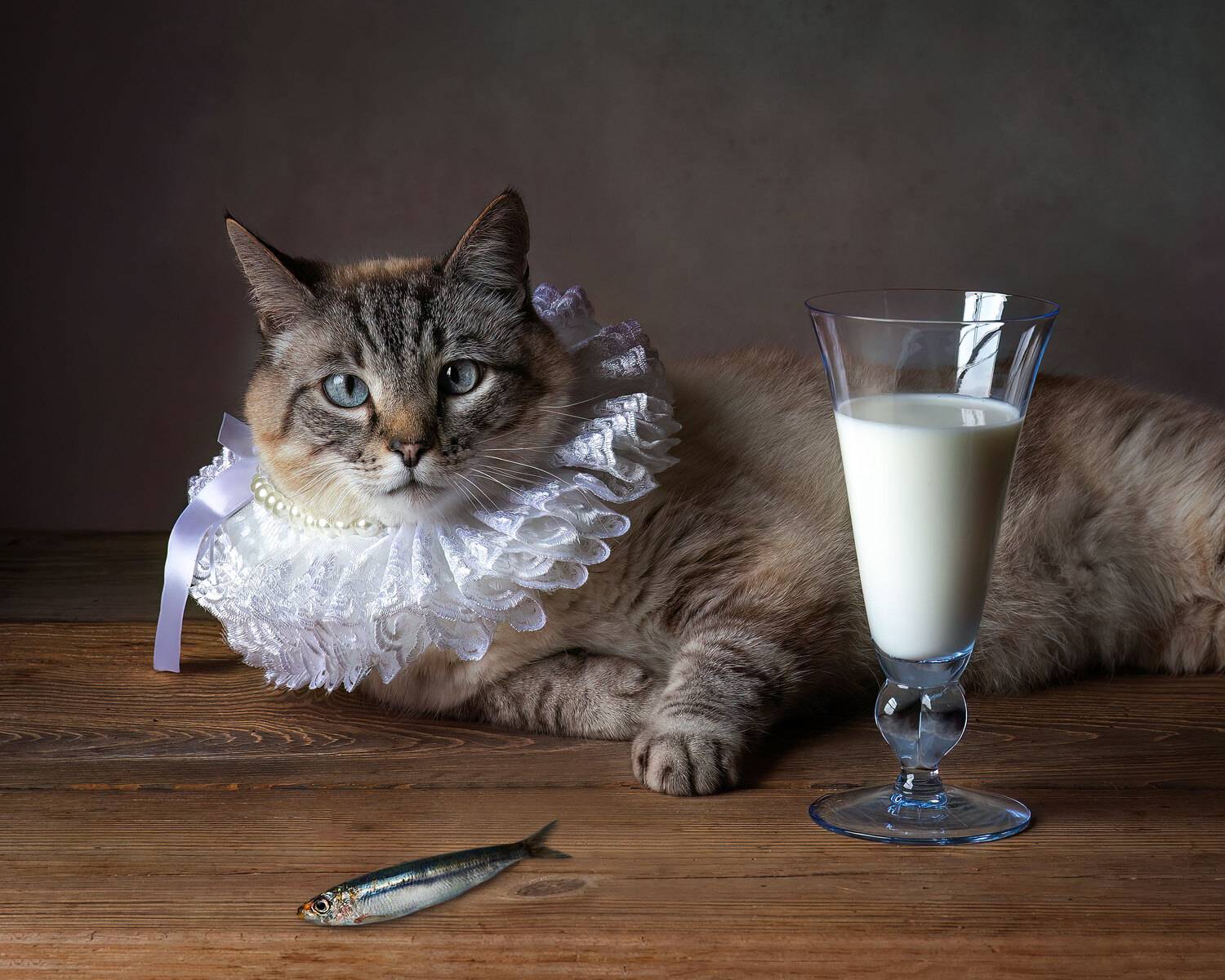 , Слуцкая Яна