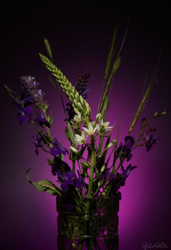 Подарок с огородаphoto preview