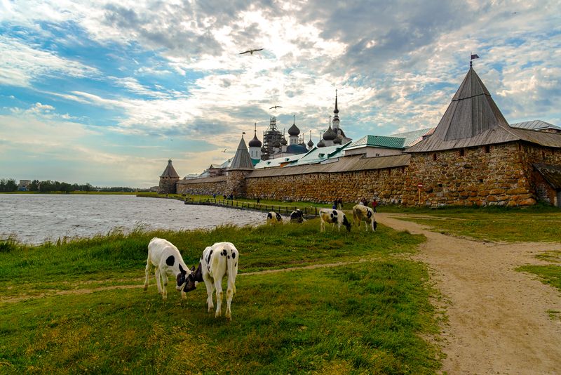 На Соловках.photo preview