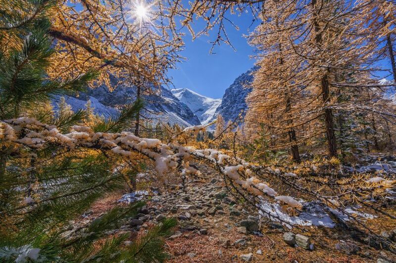 Россия, Алтай,пейзаж, природа,Актру, осень, снег Первый снег в Актруphoto preview