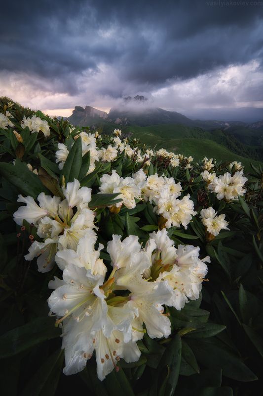 тхач, большой тхач, фототур, яковлевфототур, кавказ, адыгея Большой Тхачphoto preview