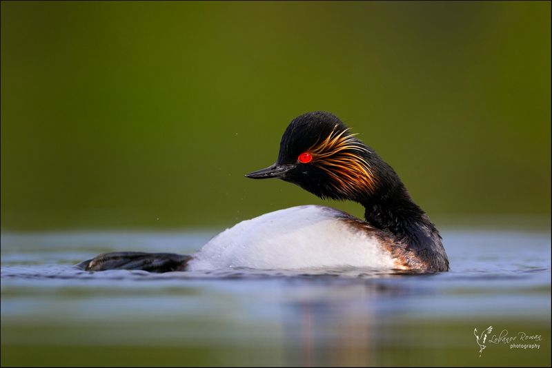 Пляжный сезон открытphoto preview