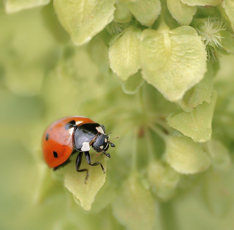 Затерянный мир 4photo preview