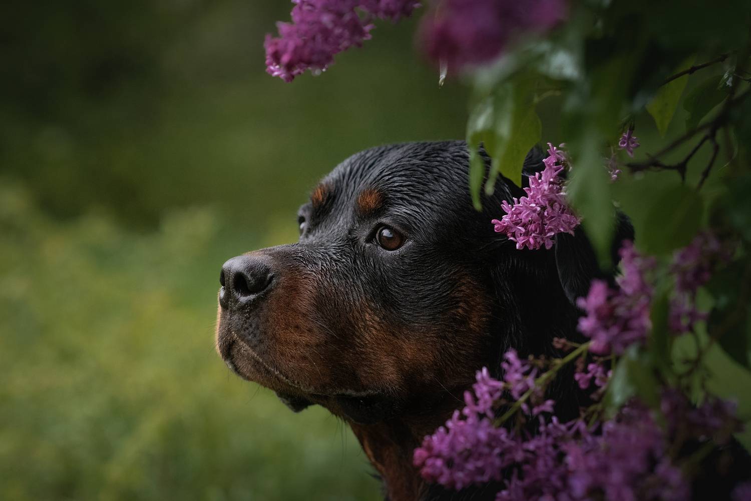 Автор: Яна Кудлай , Яна Кудлай