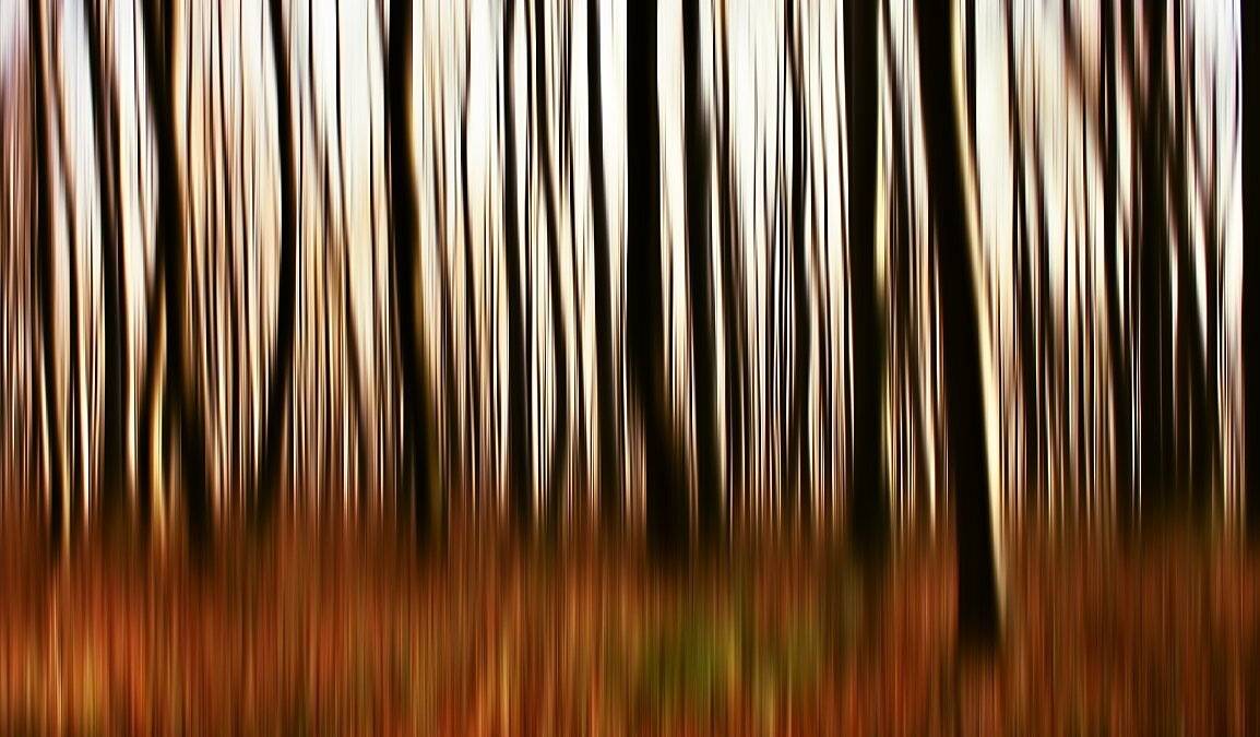 New Vintage Photography visual poems Nature color and light in nature Just Landscape Moody Landscape, Franti&scaron;ek Uhler