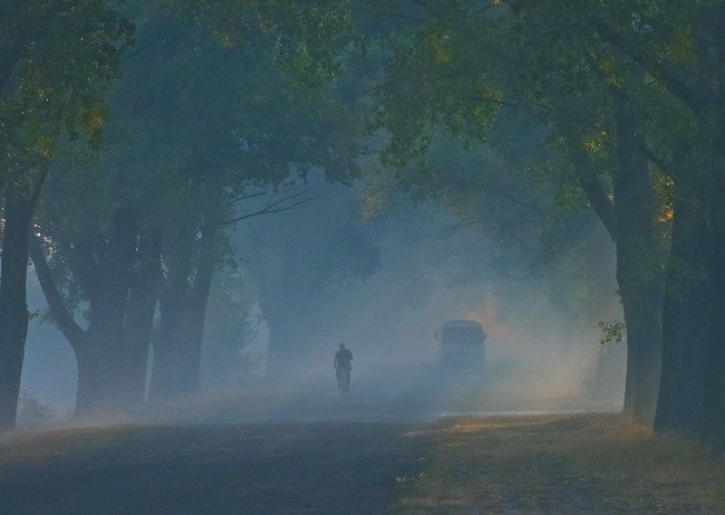 Автобус, Аллея, Велосипедист, Дорога, Лучи, Рассвет, Утро У каждого своя дорогаphoto preview