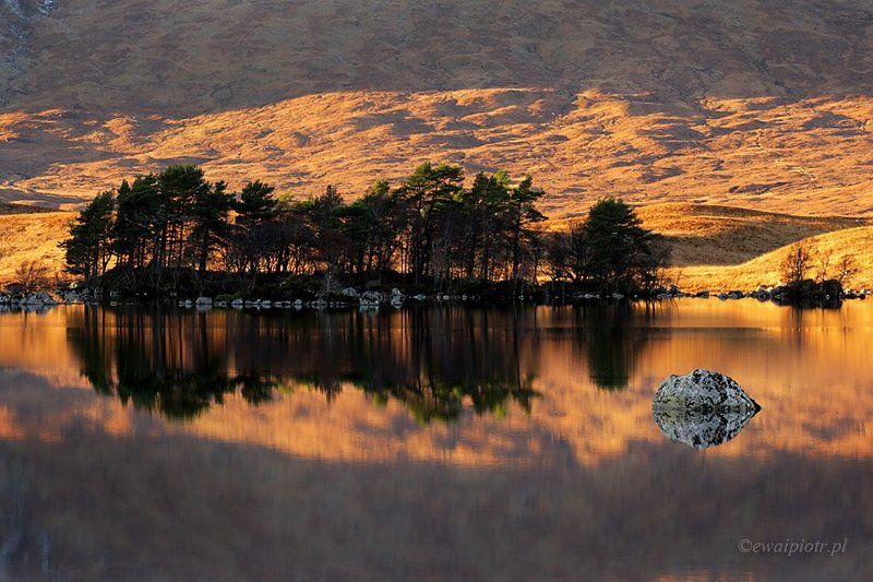 Stone in the waterphoto preview