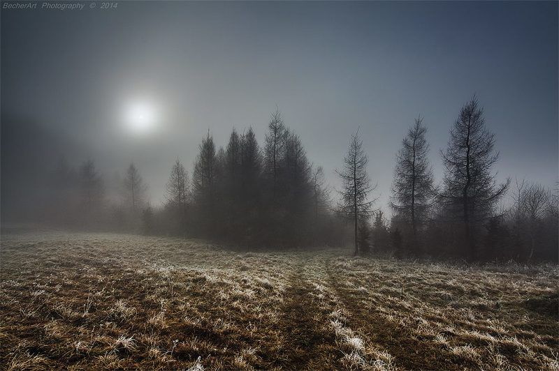 Silence Tells More XIIphoto preview