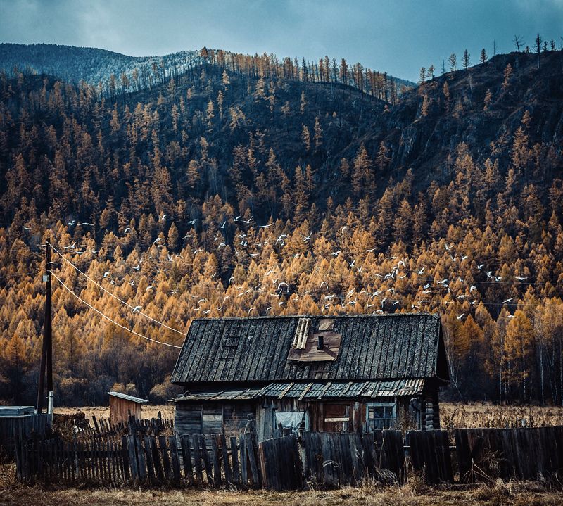 В глубинке.Алтайphoto preview