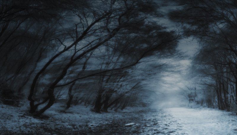 природа **** фото превью