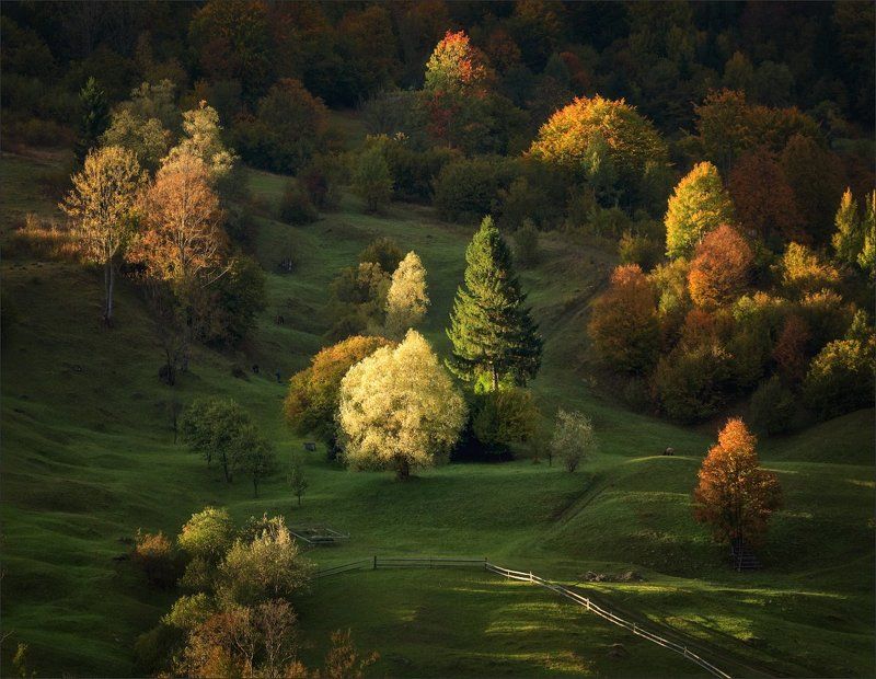 , карпаты, закарпатье, ясиня, осень, свет, вечер, деревья, холмы, склоны Одним теплым осенним вечеромphoto preview