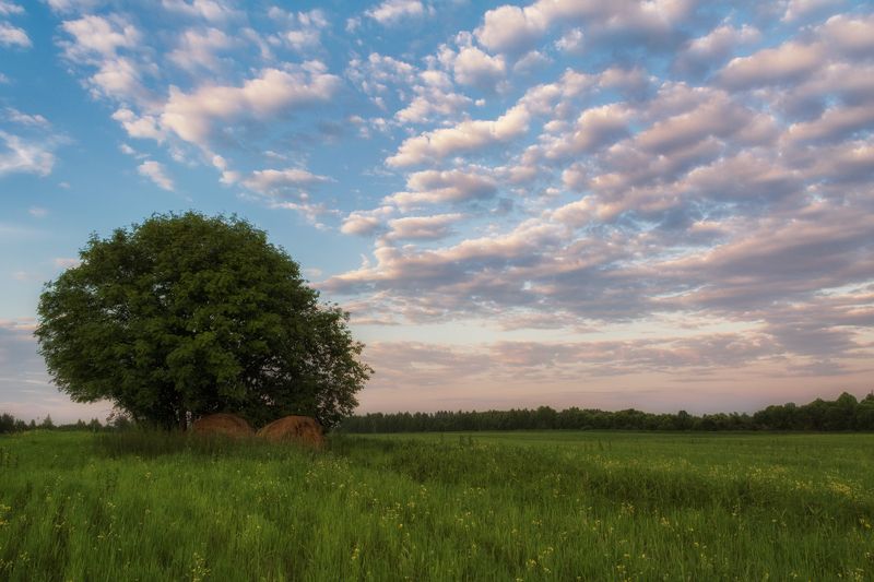 Летний денёкphoto preview