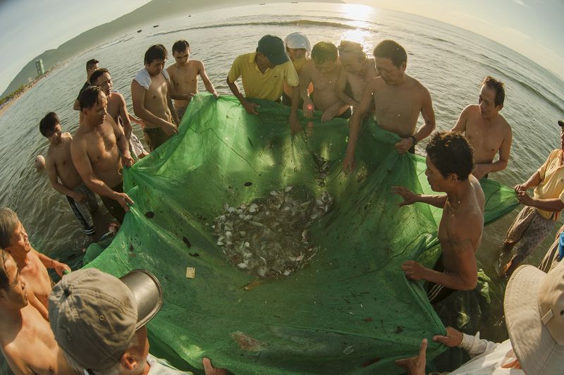 Mẻ lưới.photo preview