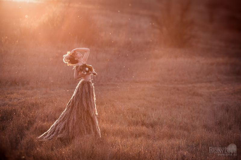 Камышовая невестаphoto preview