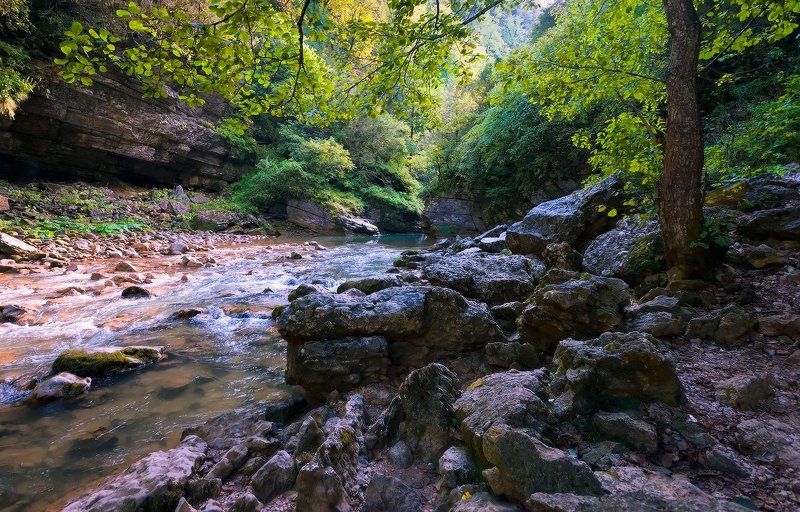 Сумрак ущелья Курджипсphoto preview