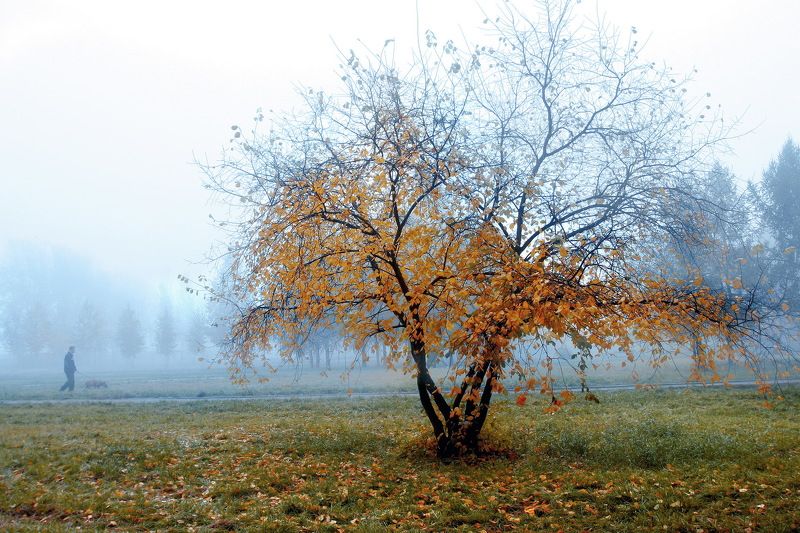 Утроphoto preview