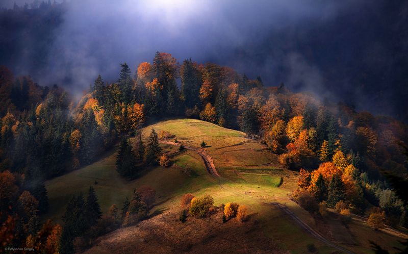 Горы, Карпаты, Осень, Туман ***photo preview