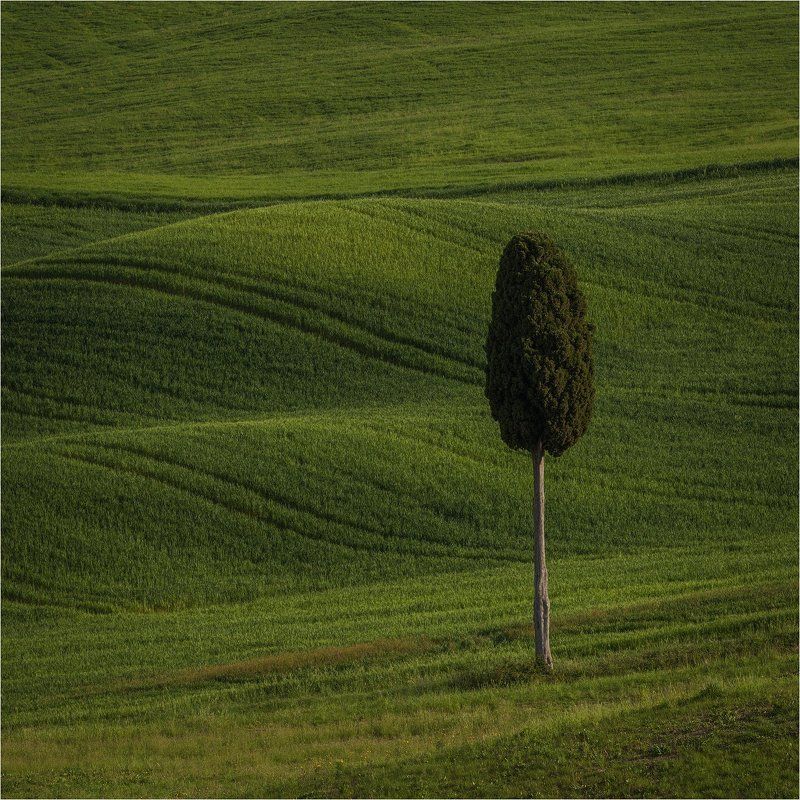 италия, тоскана, italy, tuscany Tuscany in the square.photo preview