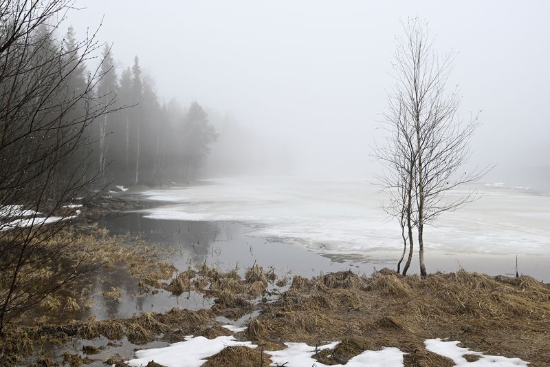 Весна на севере фото превью