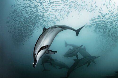 В это время был, как раз, обед.