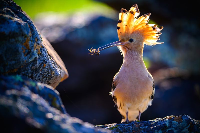 Угощение для любимой фото превью