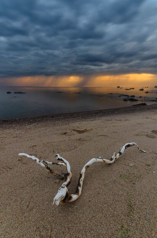 кронштадт, форт риф, западный котлин, санкт-петербург, питер, петербург , спб, закат, тучи, облака, небо, финский залив, залив, пейзаж, пляж, sunset, cloud, sky, bay, landscape, beach Закат на западном котлинеphoto preview