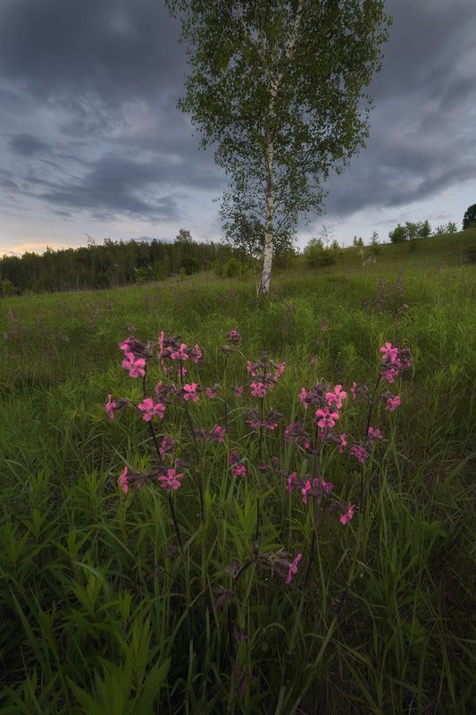 Майский вечер в лесостепиphoto preview