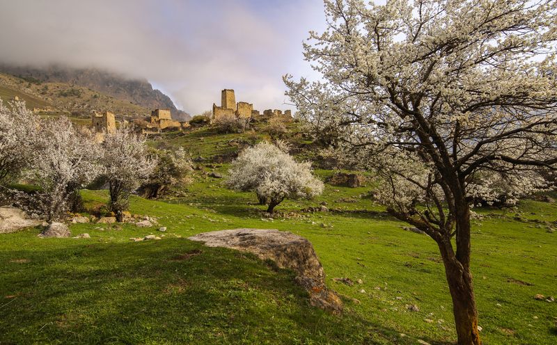 горы пейзаж облака  утро  весна Кавказ фото превью