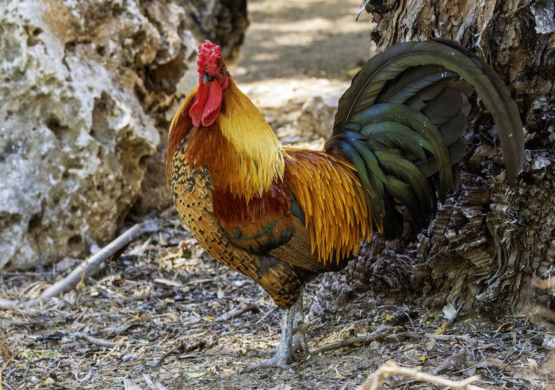 Палитра.photo preview