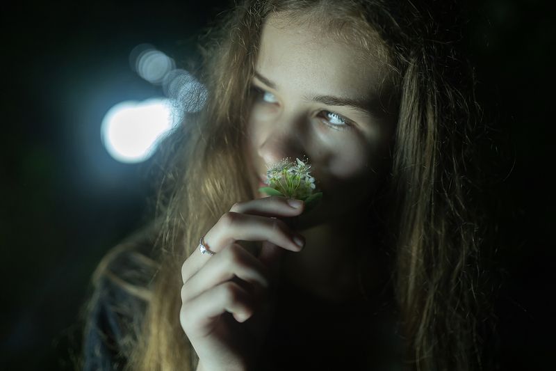 Пестики тычинкиphoto preview