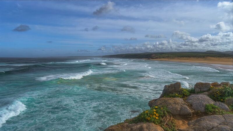 Вид фото превью